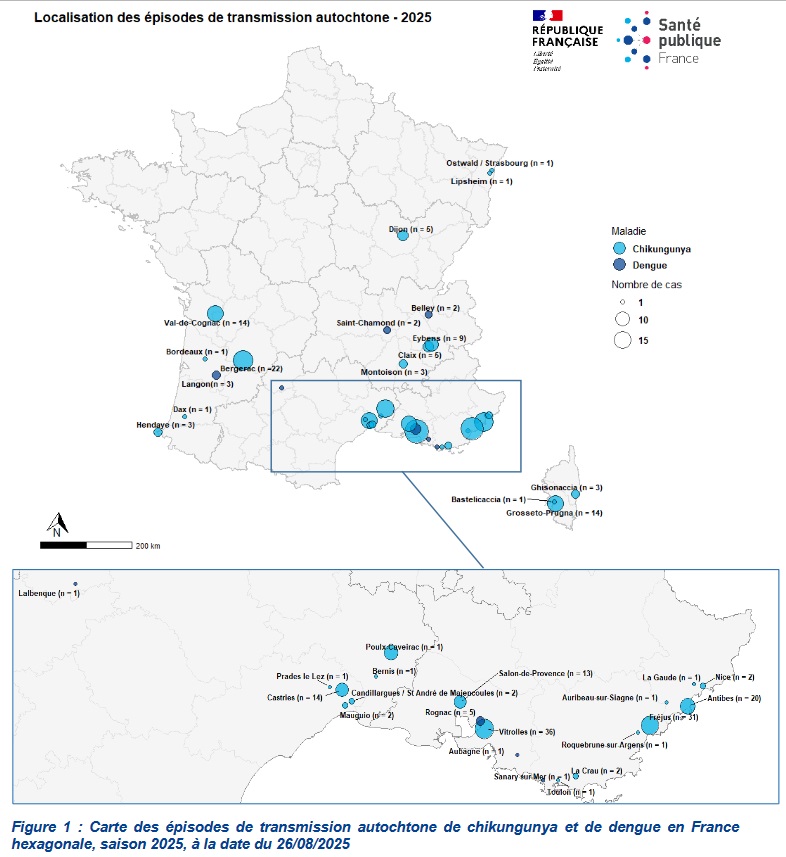Cas de chikungunya en France métropolitaine depuis le 1er mai 2025