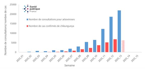 Répartition géographique des cas de chikungunya à La réunion
