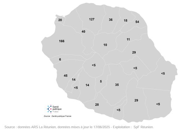 Evolution des cas de chikungunya à La réunion depuis le 1er janvier 2025