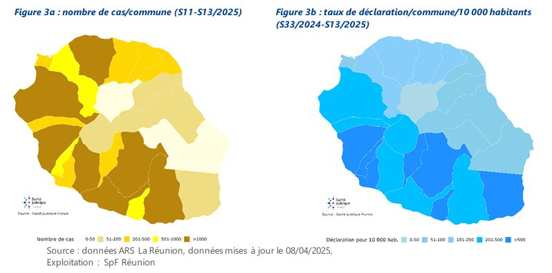 Répartition géographique des cas de chikungunya à La réunion